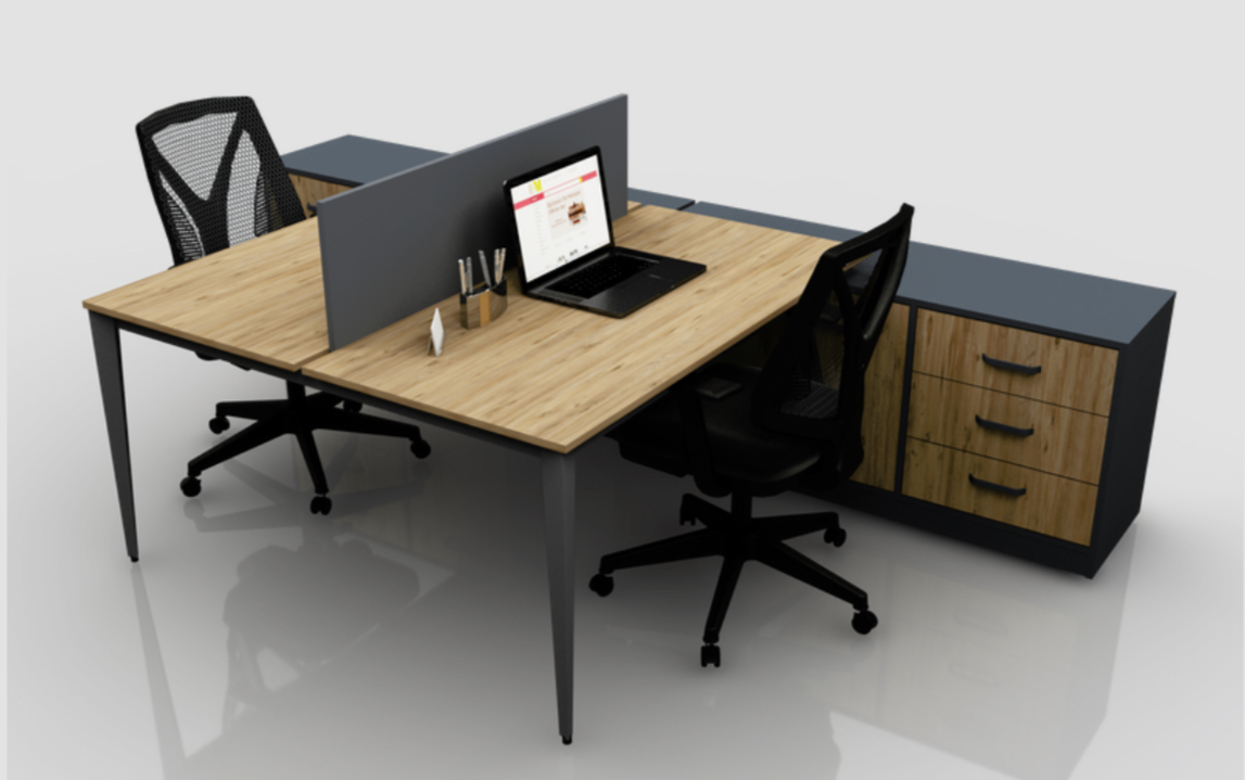 Picasso Workstation 2'li